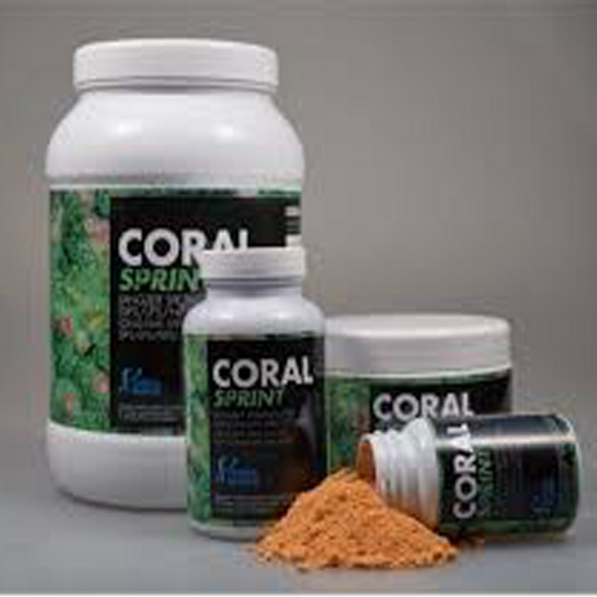    Fauna Marin Coral Sprin