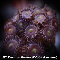 Mohawk 900 ( 4 )